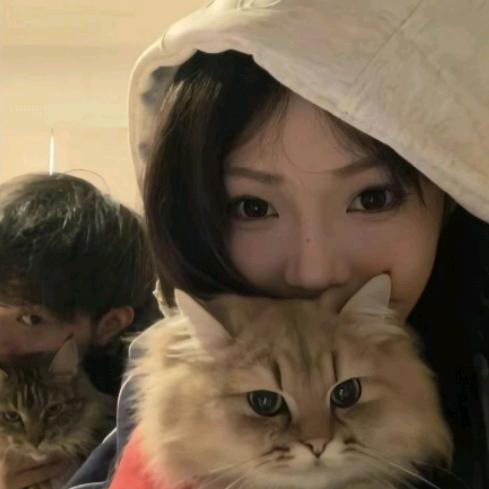 泥烦烦的