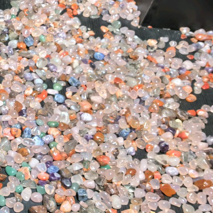 白天不懂夜的黑