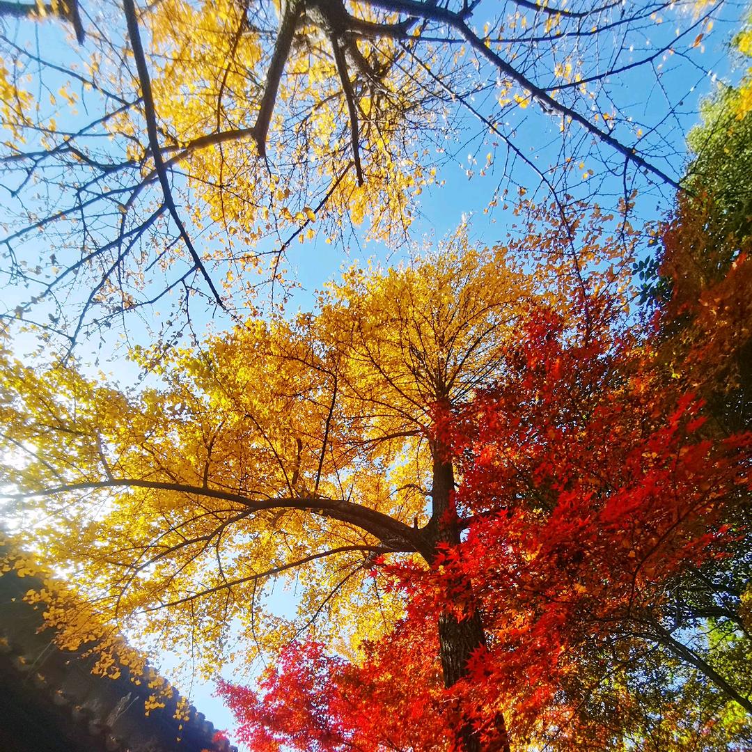 日暮
