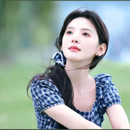 孤独的鸟