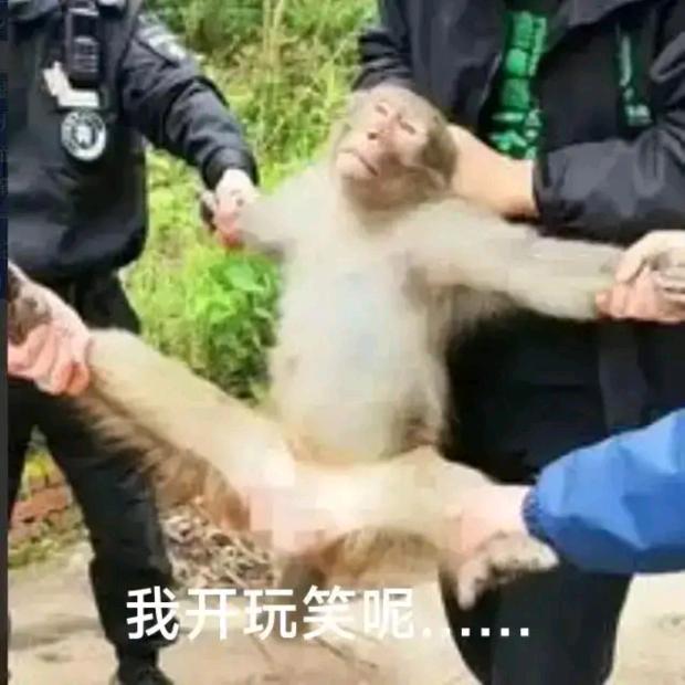 你听我狡辩ಠ_ರ