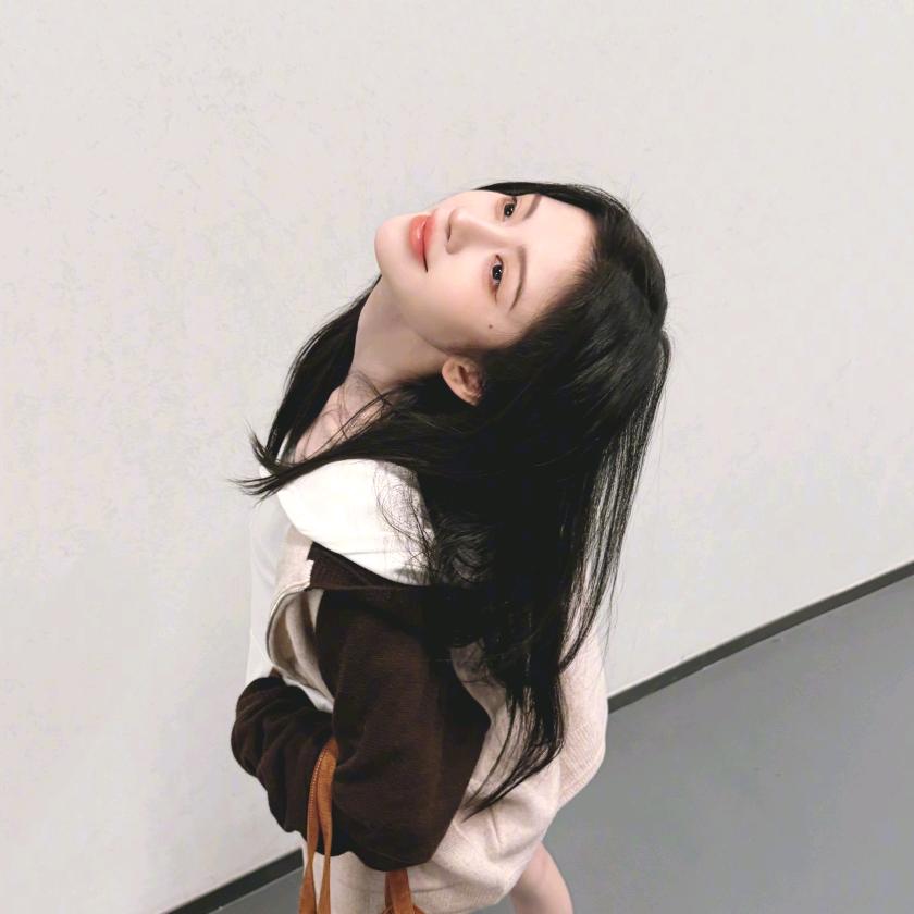 猫狗不建议一起养