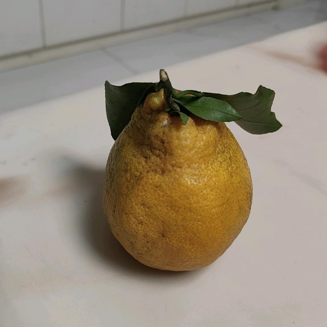 下小雨