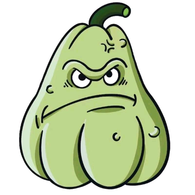 杰子瓜