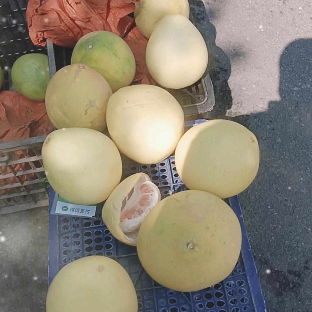 水果玩家