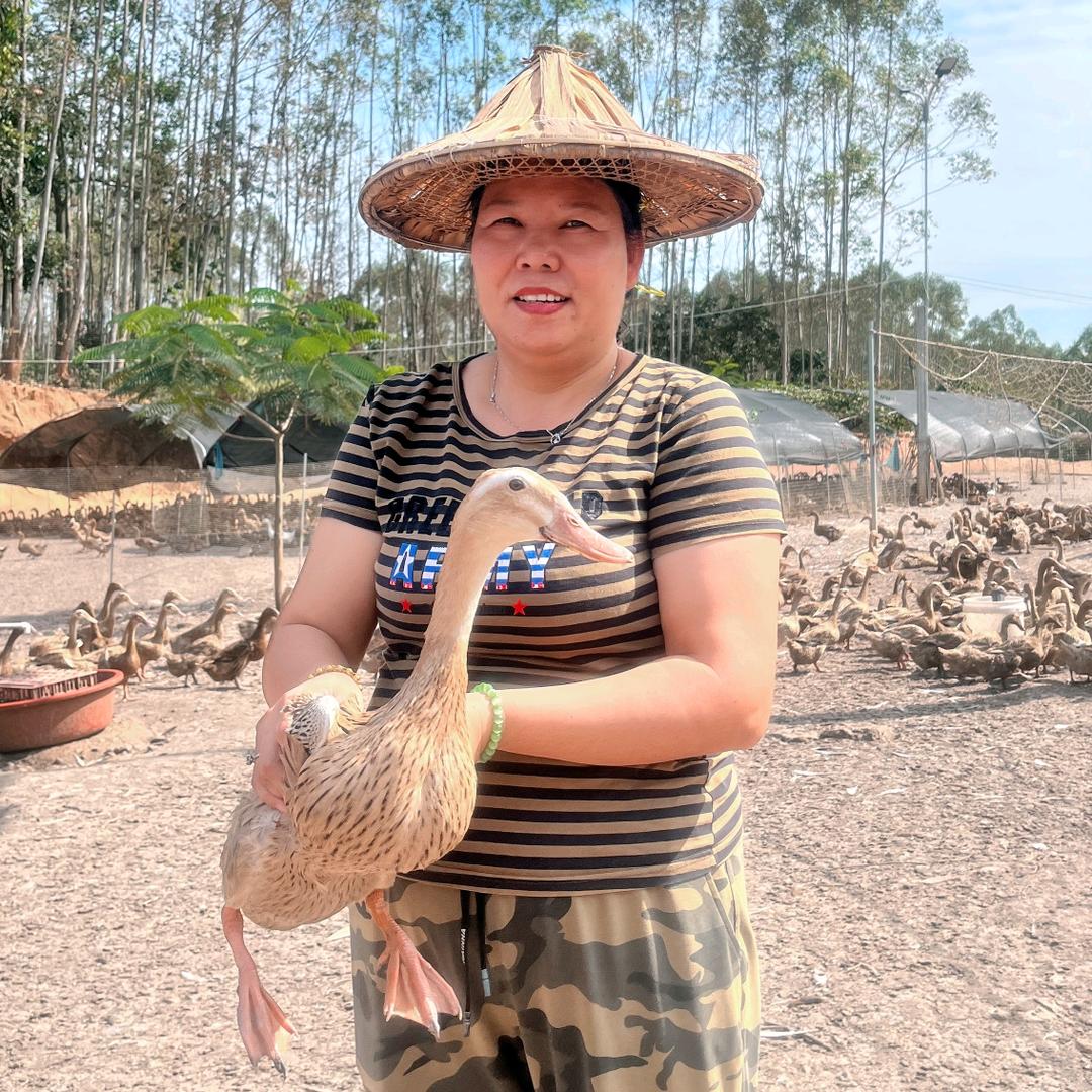 漳浦麦园埔鸭蛋姐