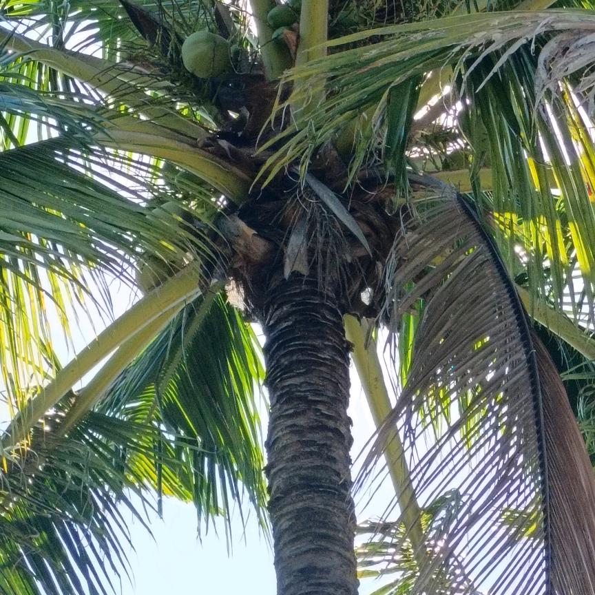 单身涛哥123456789