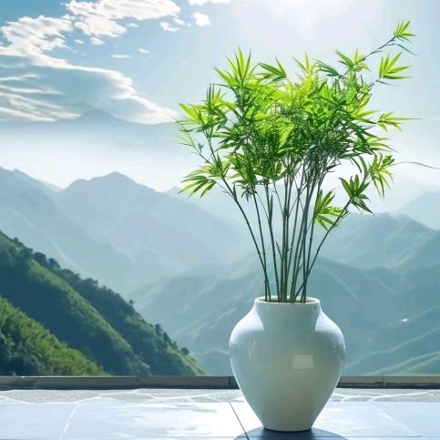 休雀王师
