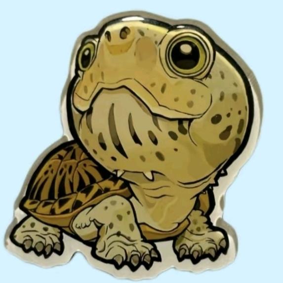 卖烧烤养龟（收退坑龟）