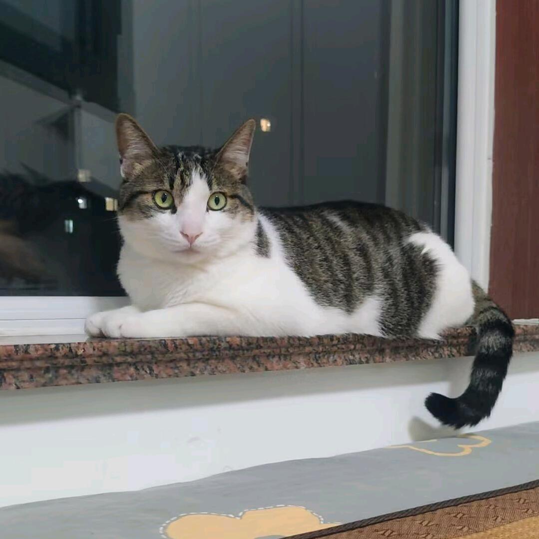 余生好好爱自己🍒🍒