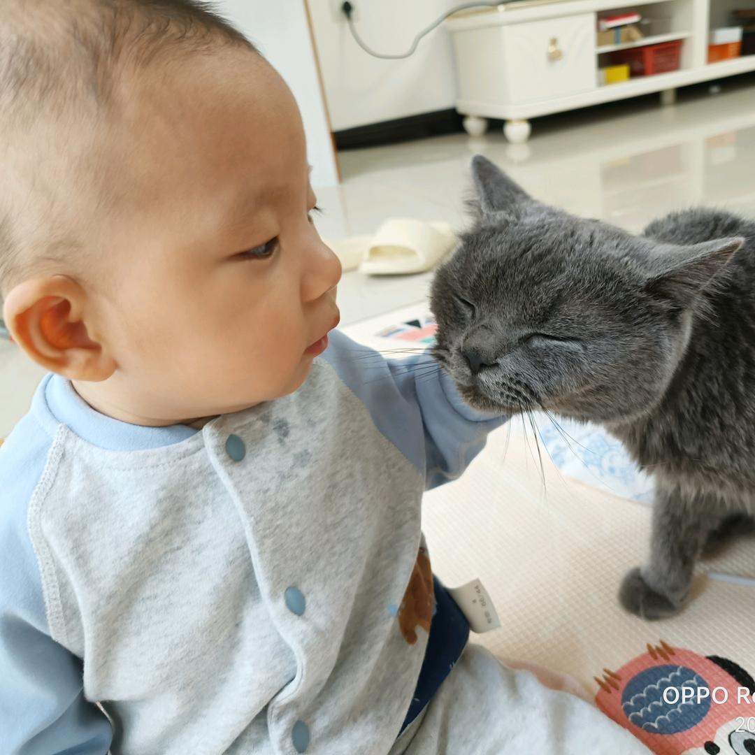 冯三三