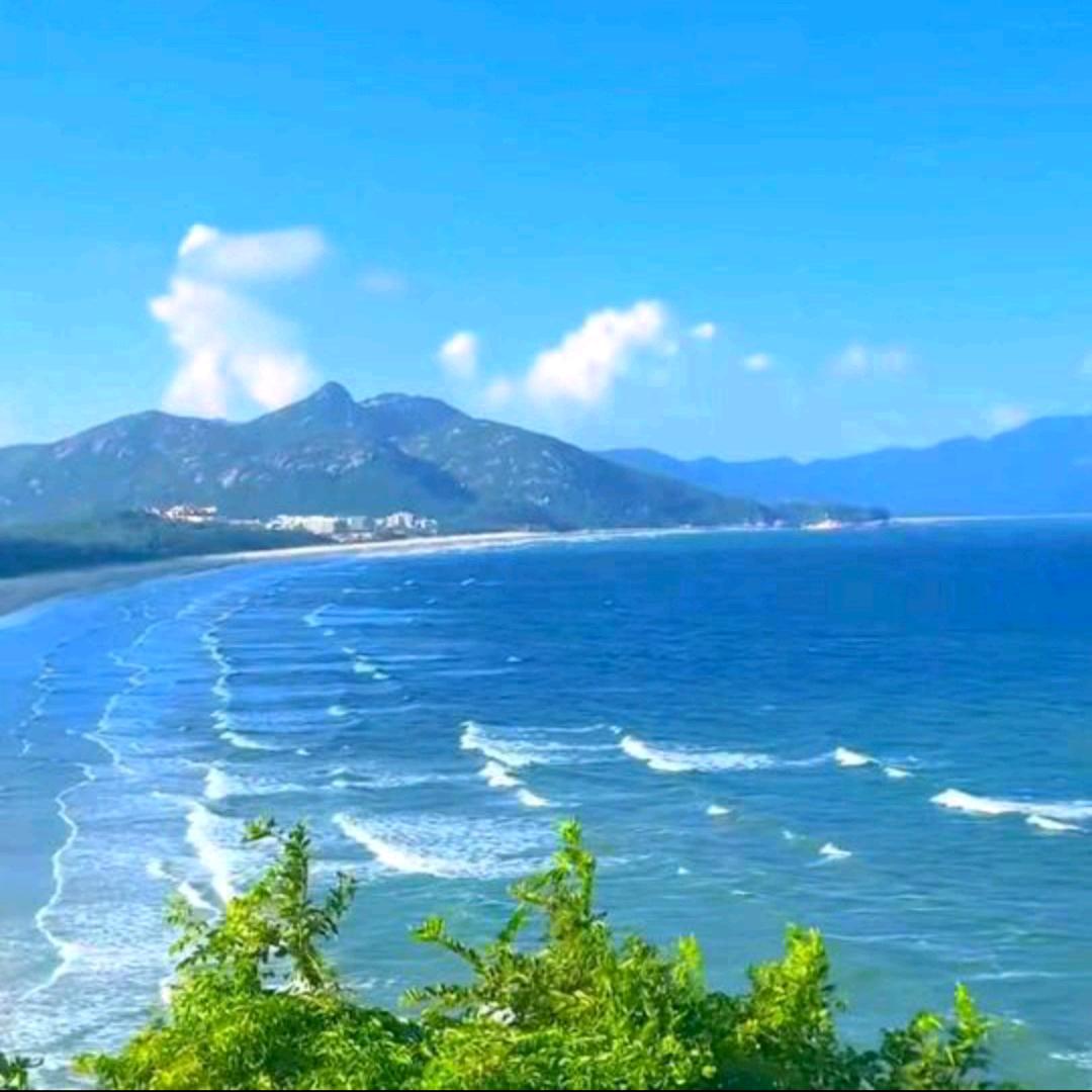 蒸蒸日上