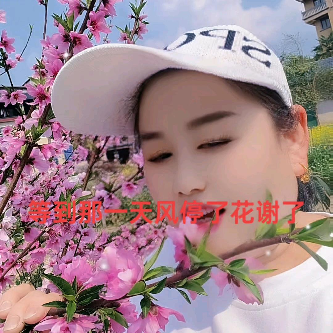 梦之恋