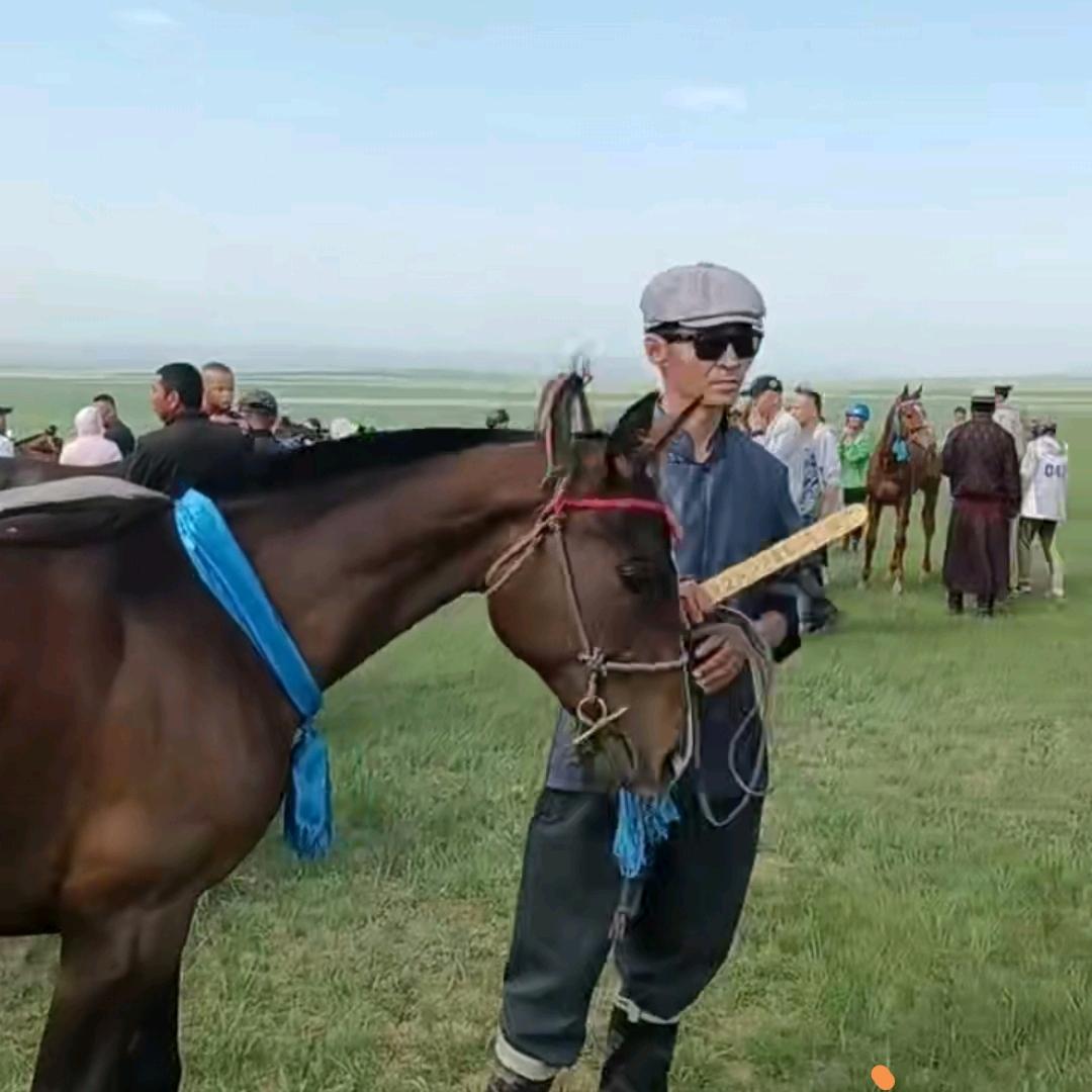 ᠨᠠᠳᠮᠡᠳᠰᠡᠷᠡᠭ