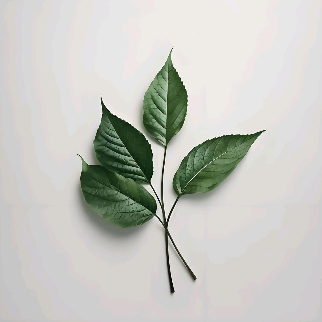 来点百货