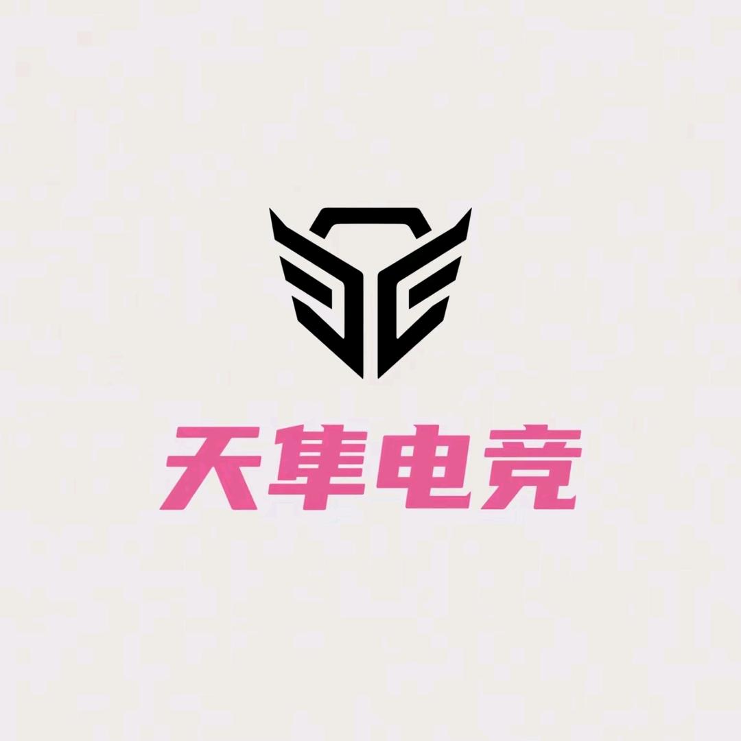 天隼电竞