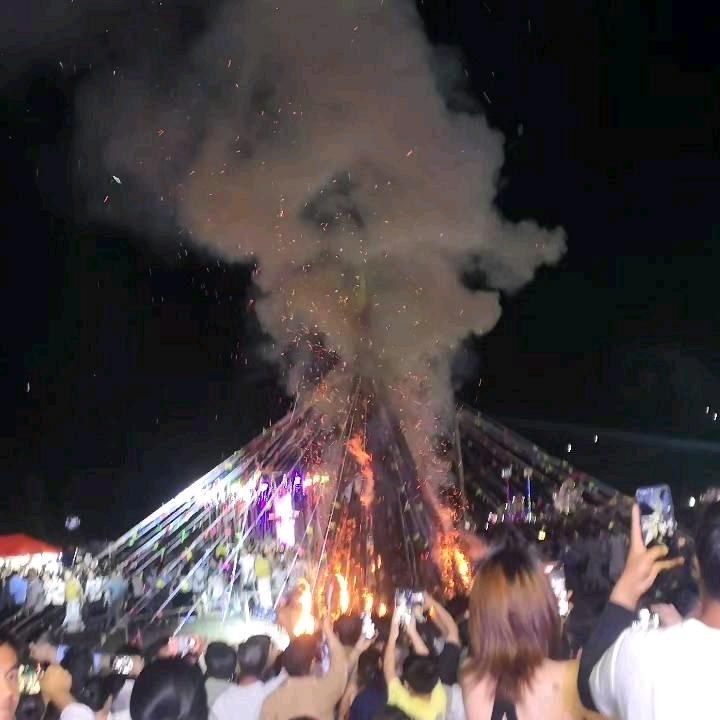 欢菲浪欣四宝儿生活号