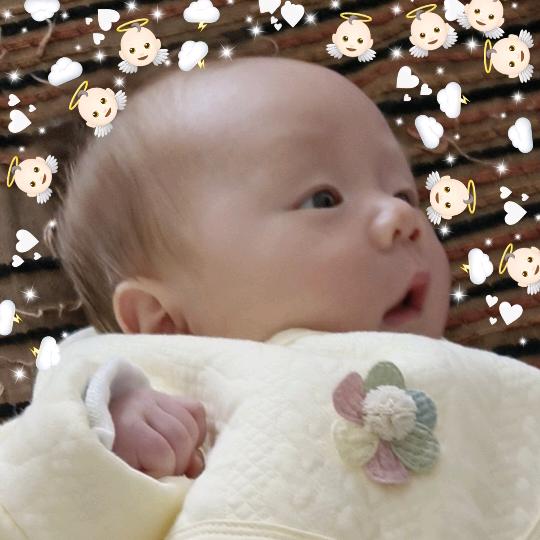 一颗小灵芝🍼