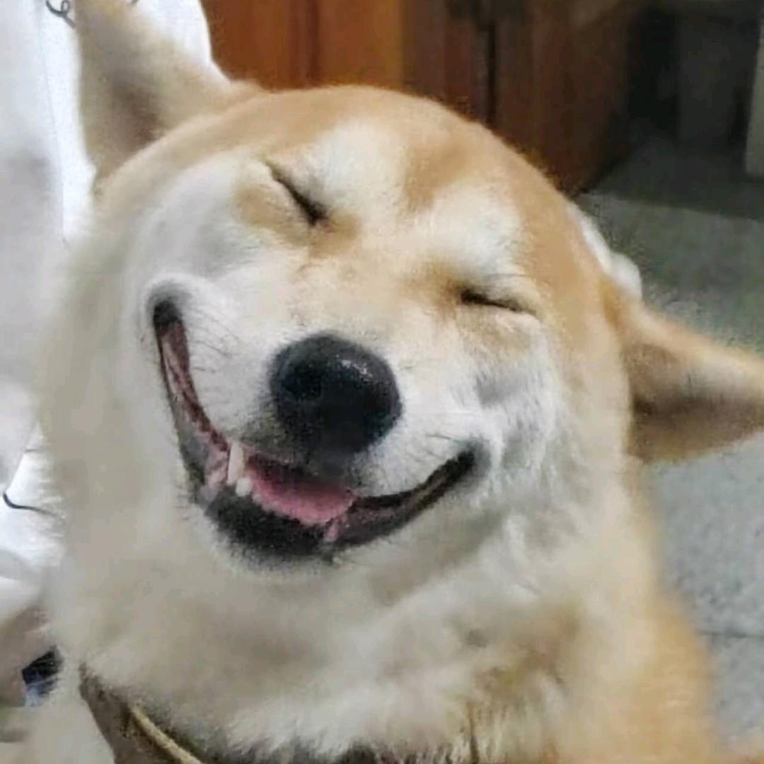 jz潘潘