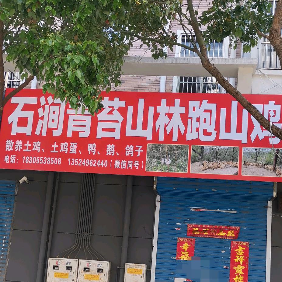 简简单单（石涧青苔山林跑山鸡）