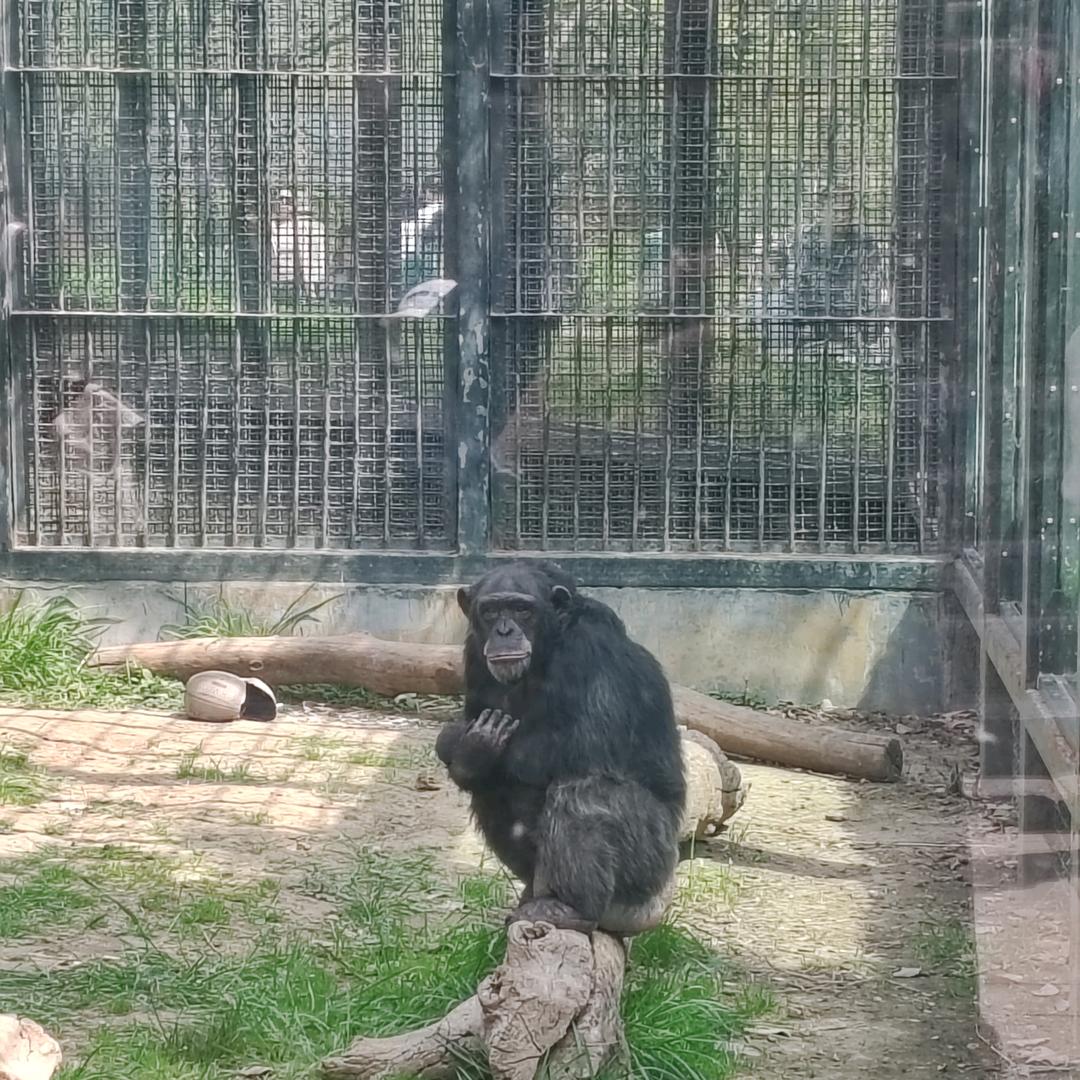 王命之徒 浪迹天涯