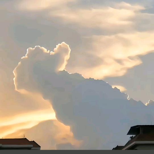 管理员啦啦啦啦啦啦啦啦啦啦