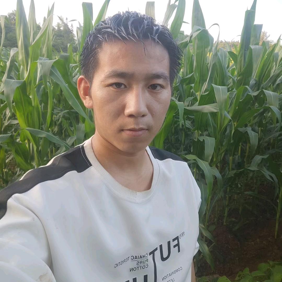 龙门龙年