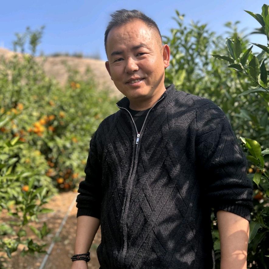 水果代办    情哥