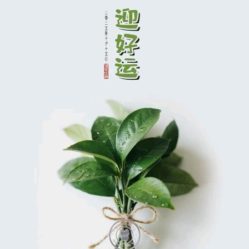 小闫闫好物分享