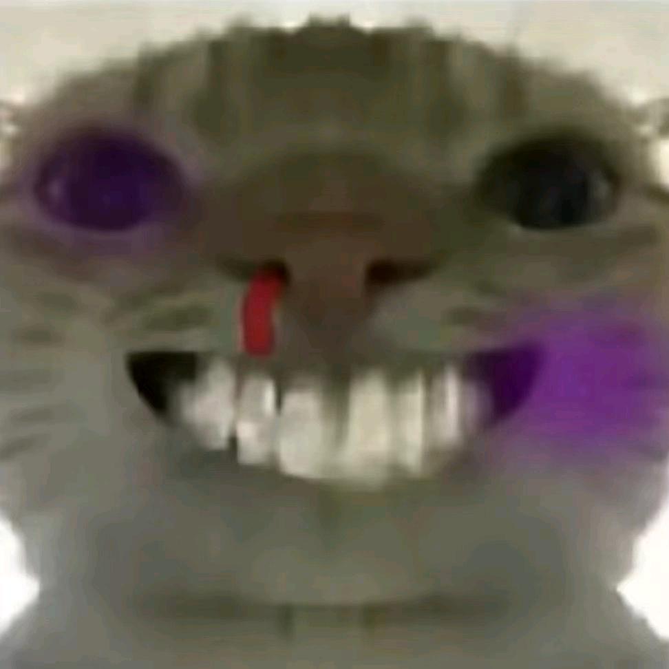 曌星辰
