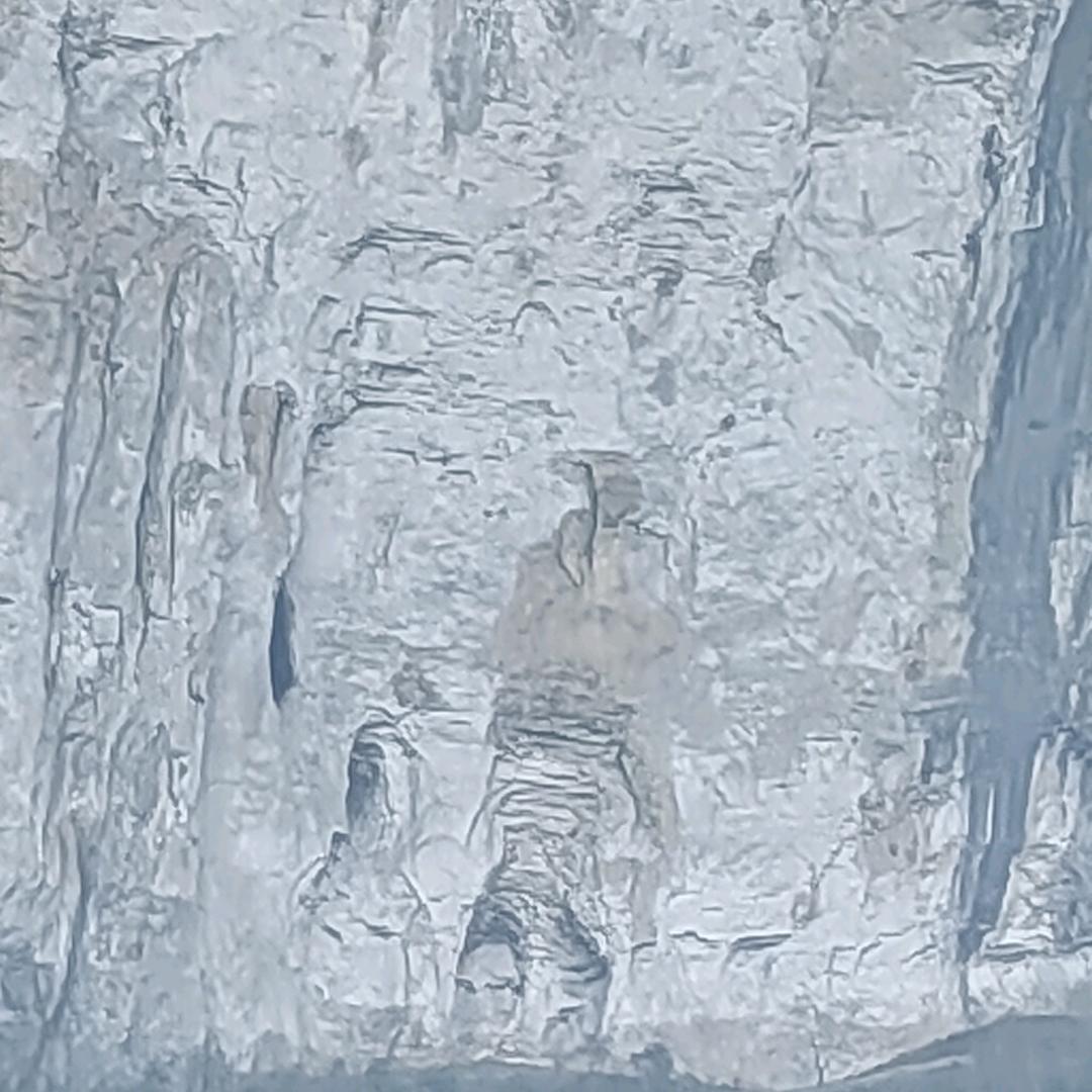 干了这杯，还有三杯