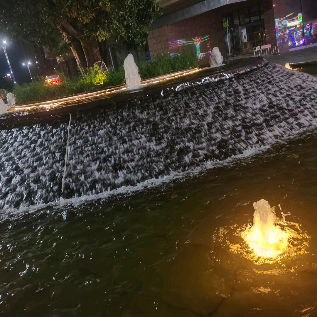 小马哥