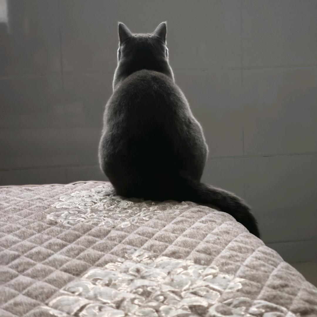 谁家还没个小可爱