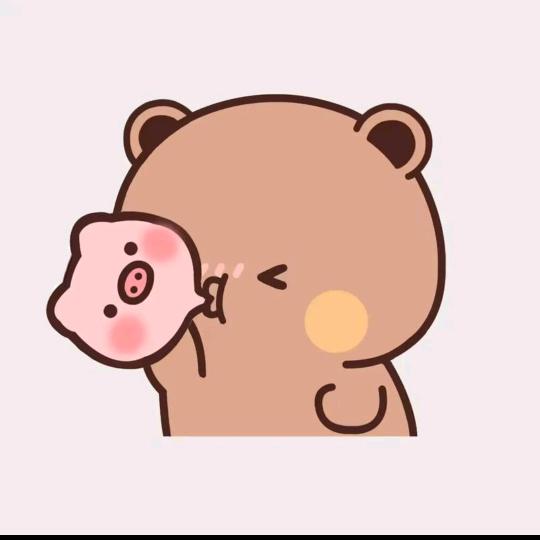 九日数码
