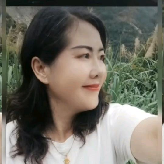 淡雅如风