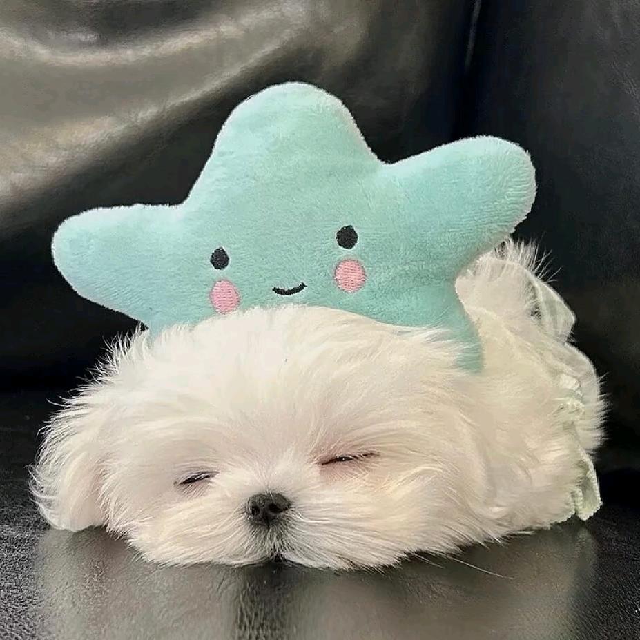 ୧⍤⃝🍡（💚）