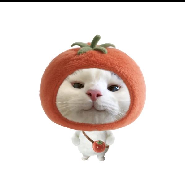 小猫爱吃鱼