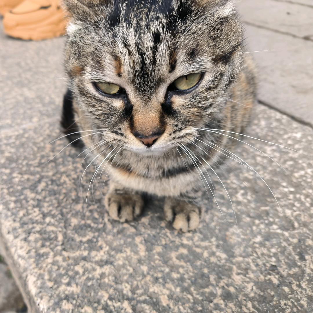 AAA滴滴嘀嗒头像