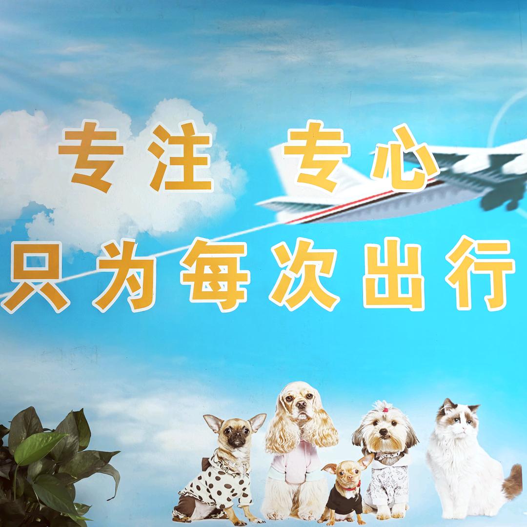 爱宠宠物运输