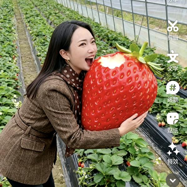 西瓜姐姐🍉🍉🍉