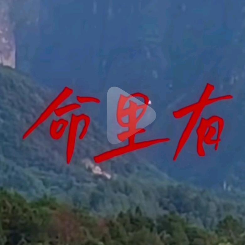 城城城