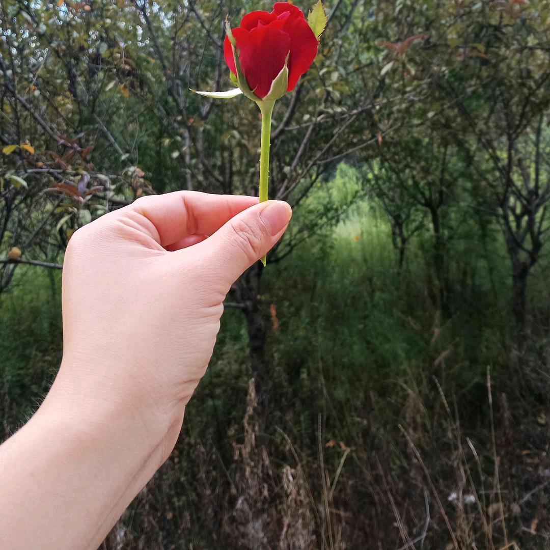 适可而止，珍惜拥有
