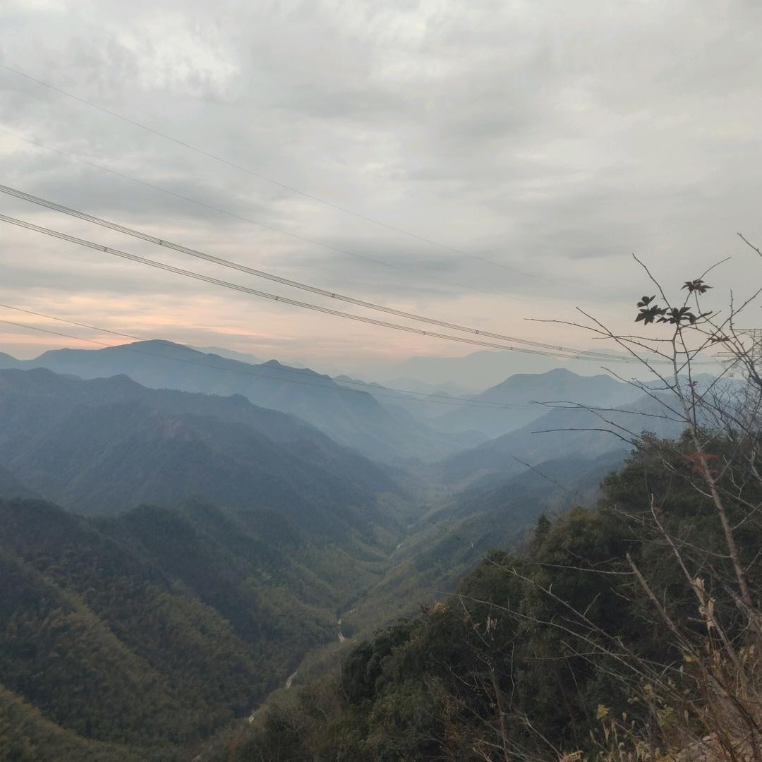 ♛洋葱没有心^O^