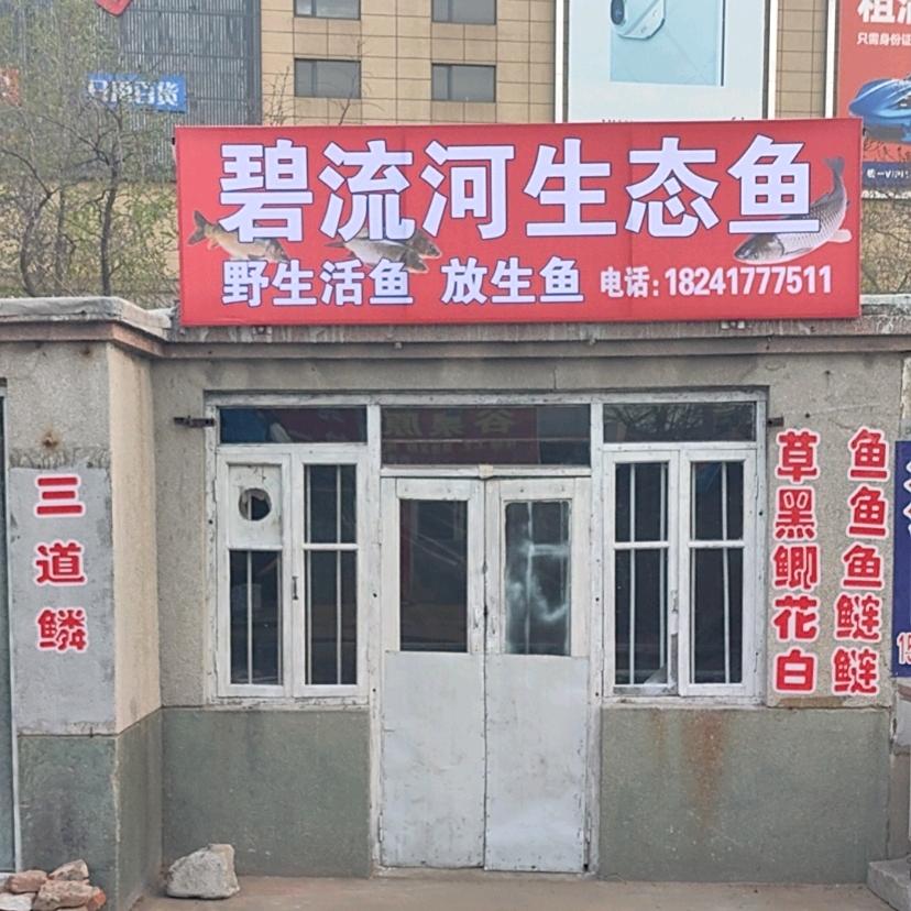 泽.g