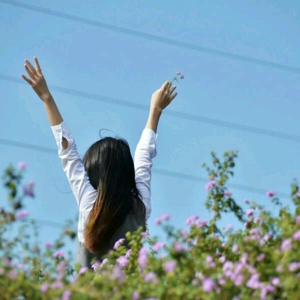 美梦（可私聊）🌸🌸