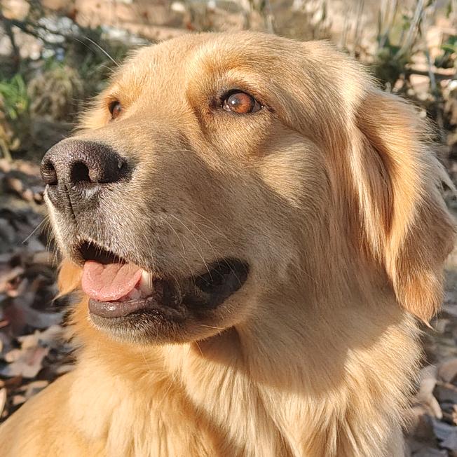 盼盼୧꒰•̀ᴗ•́꒱୨