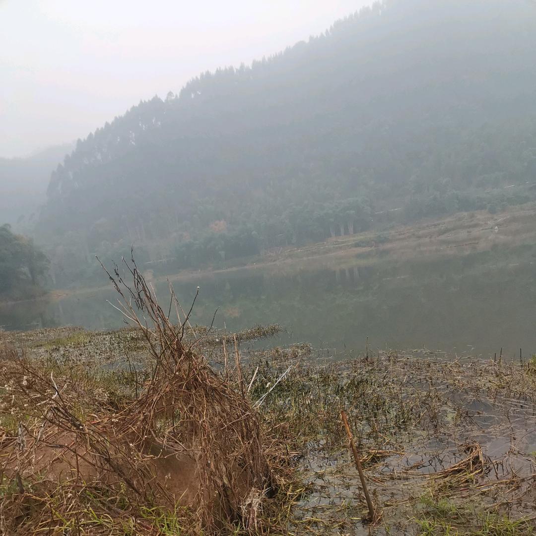 成都.11