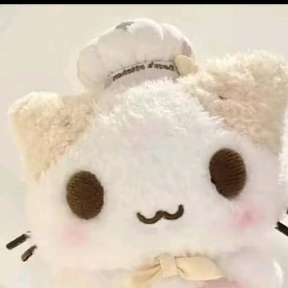 番  茄