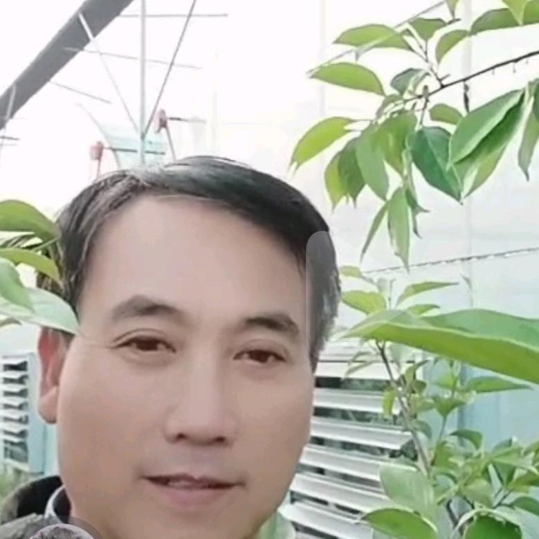 一路阳光