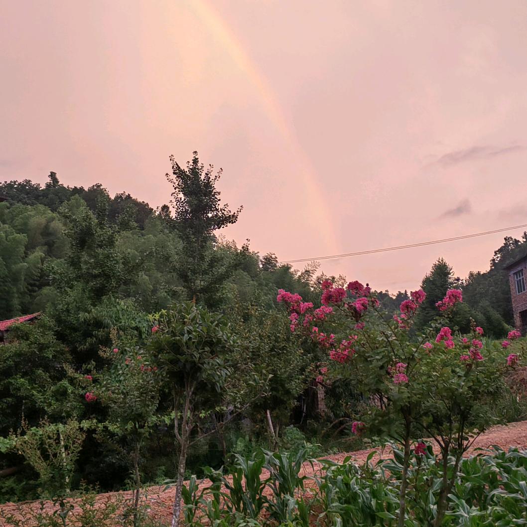 ℳঞ罗地成何💕 ❧⁵²⁰